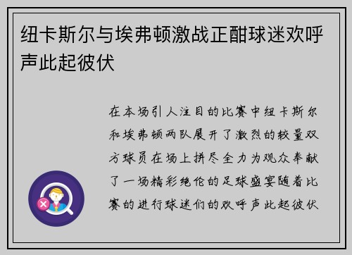 纽卡斯尔与埃弗顿激战正酣球迷欢呼声此起彼伏